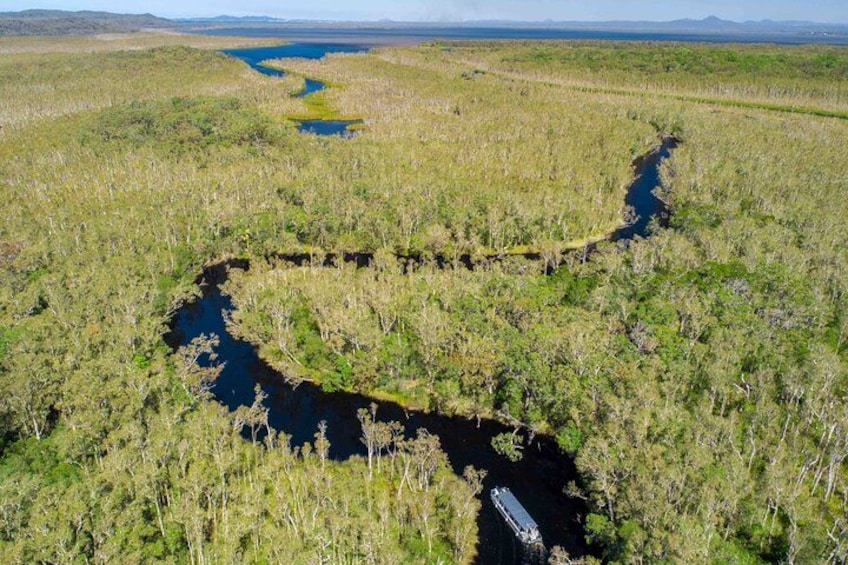 Joel's Journeys - Noosa Everglades and Hinterland Tour 1