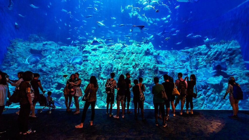 Ocean Park Hong Kong 5
