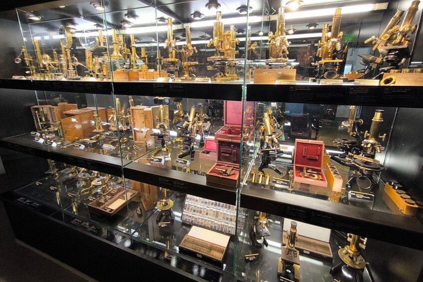 Exhibition in Astronomical Museum 5
