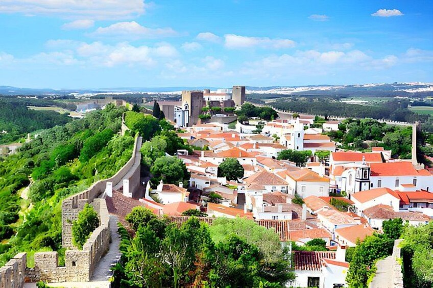A historic town with a prominent castle, terraced vineyards, and a fortified wall. 1