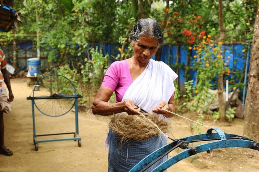 Backwater Tour from Cochin 3