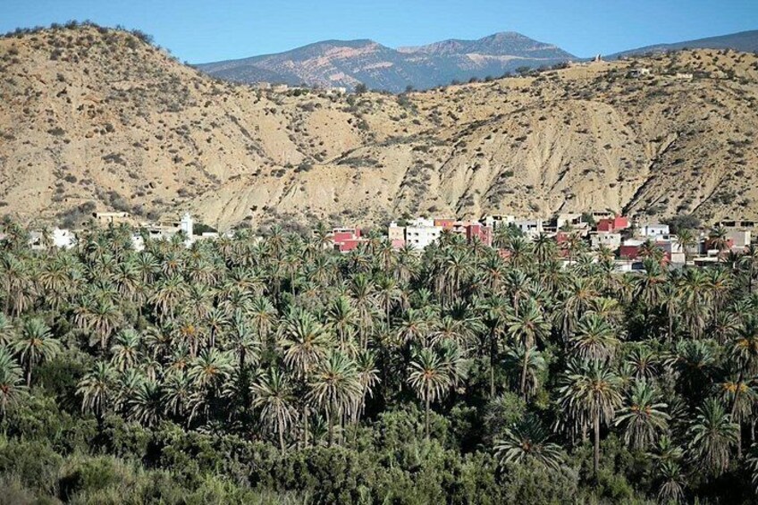 A coastal town with palm trees, buildings, and a mountainous backdrop. 2