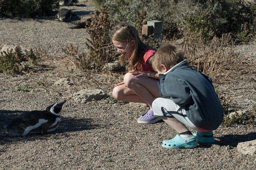 Zwei Kinder hocken auf einem Schotterweg, in der Nähe ein Pinguin. 4