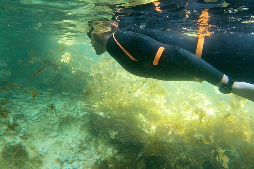 Open-Water Swimming in Algarve 2