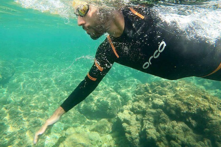 Open-Water Swimming in Algarve 5