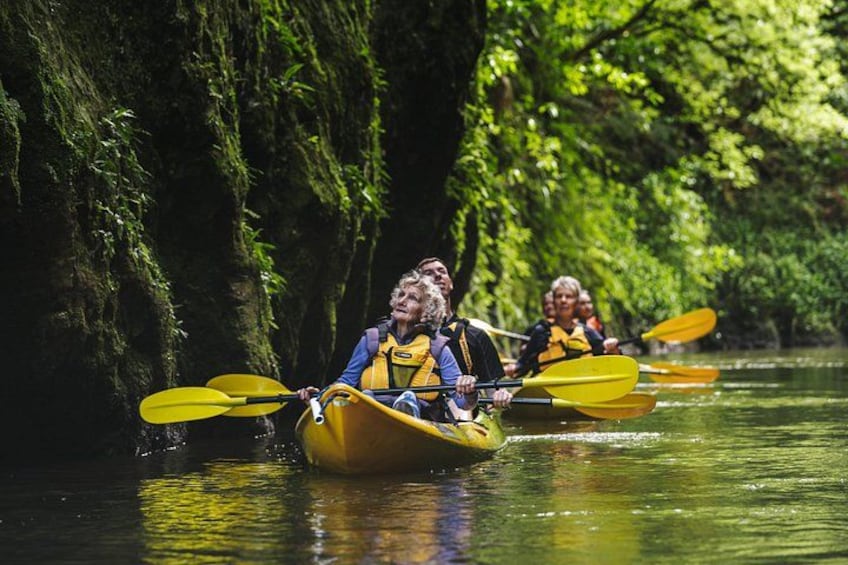 People kayaking on a river surrounded by lush greenery. 1
