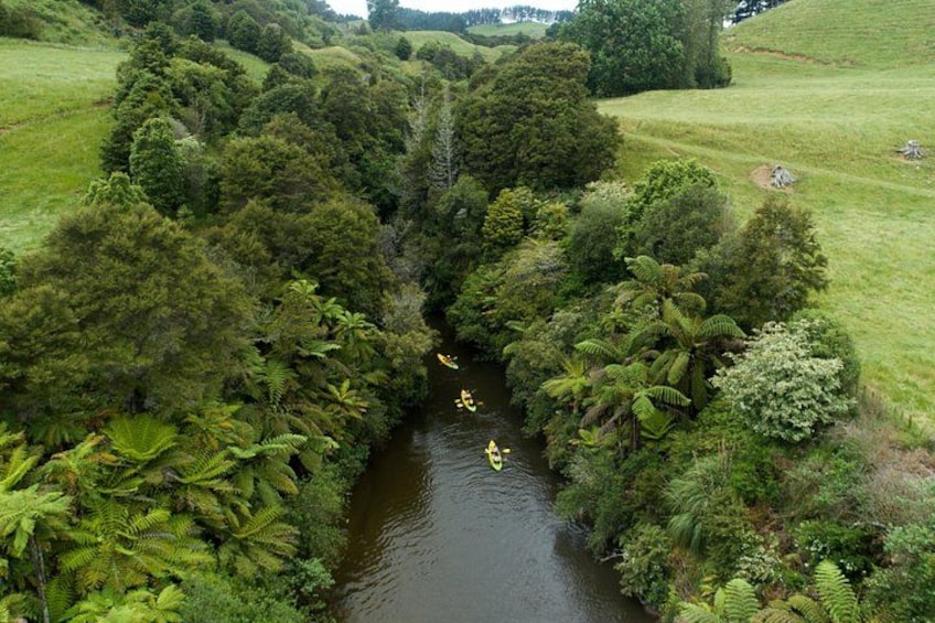 A river surrounded by dense greenery and a grassy field. 4