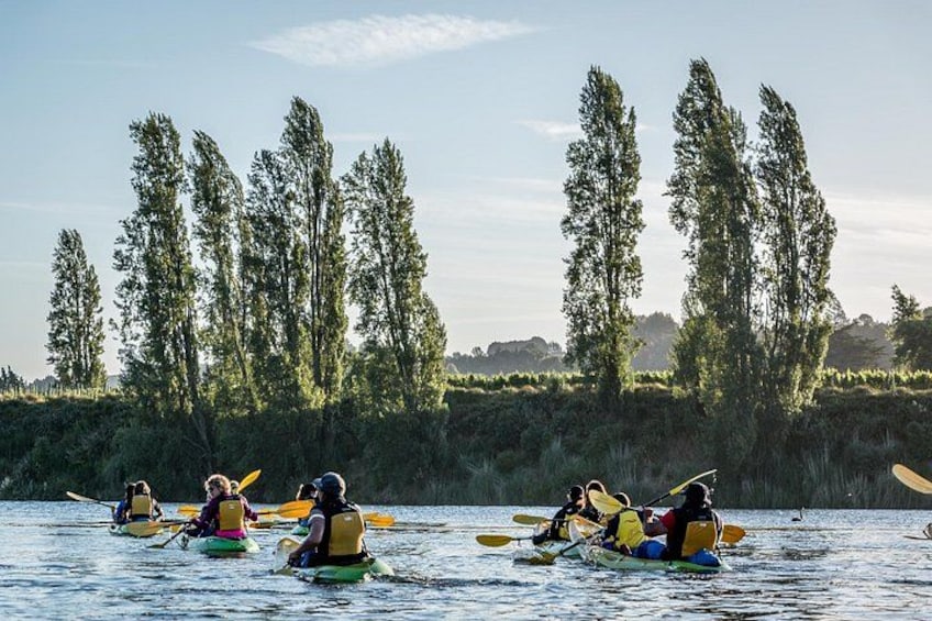 People kayaking on a calm river surrounded by tall trees. 3