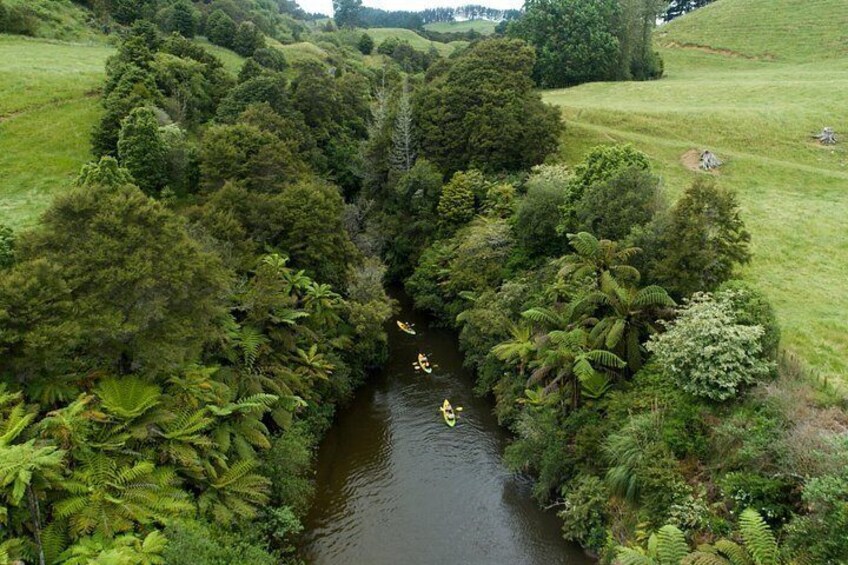 A river surrounded by dense greenery and a grassy field. 3