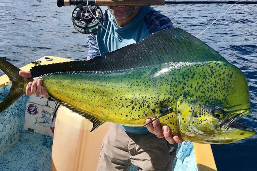 Une personne tenant un gros poisson au corps jaune et aux taches noires, debout sur un bateau. 1
