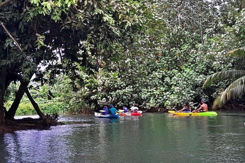 Discovery in Kayaking of the Faaroa River in Raiatea 2