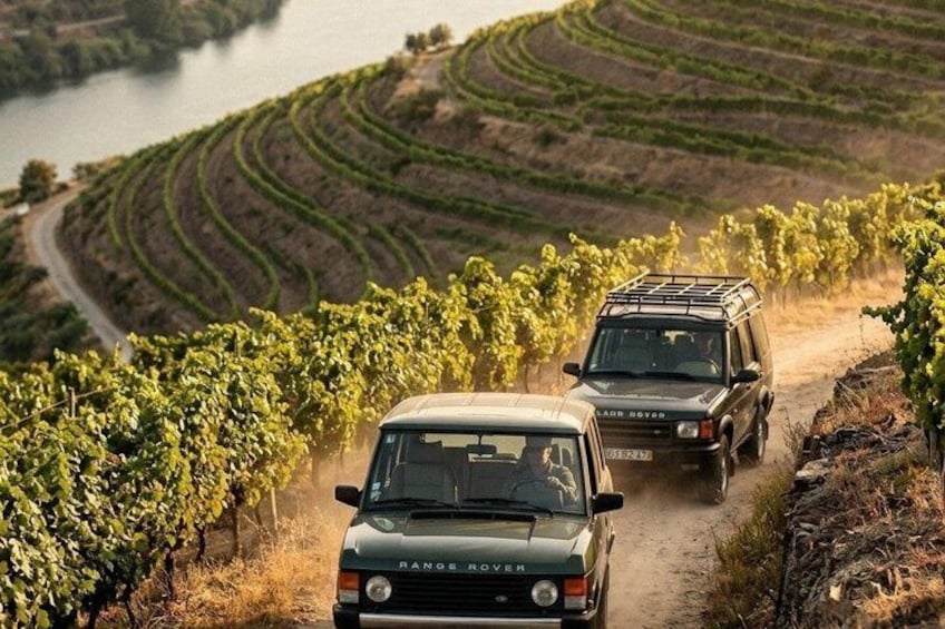 Due Range Rover su una strada sterrata in un vigneto con filari a terrazza e un corpo d'acqua sullo sfondo. 1
