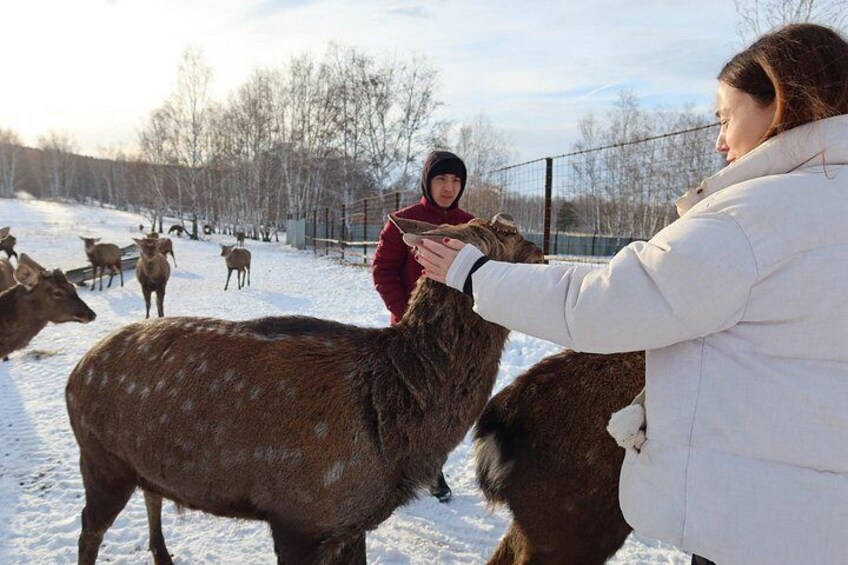 Authentic Burabay Embrace Nature, Wine, Cheese, and Local Life 2