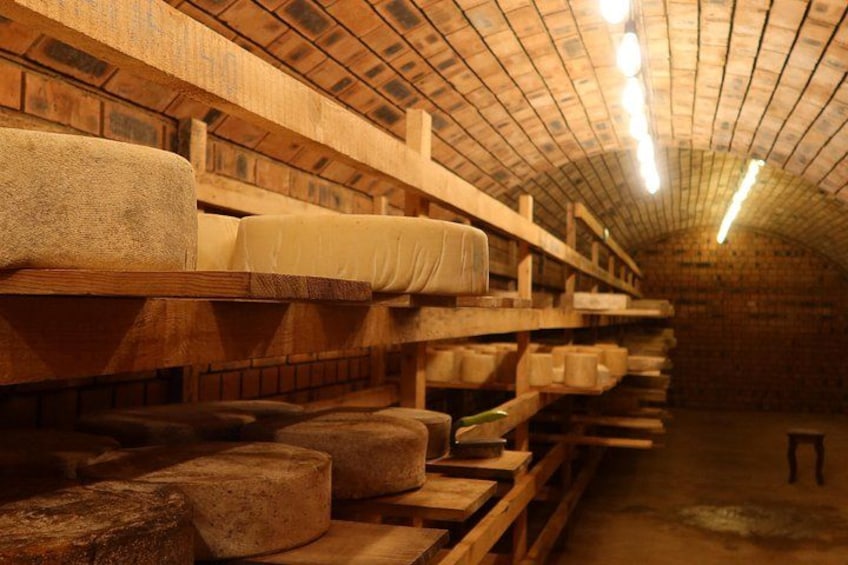 Authentic Burabay Embrace Nature, Wine, Cheese, and Local Life 2