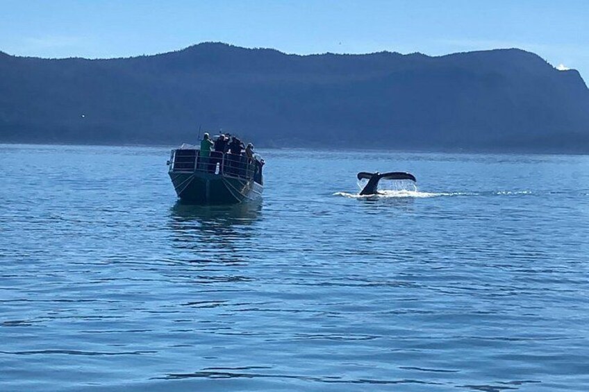 A boat with people on it and a whale tail above the water. 4