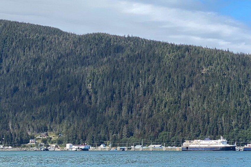 A cruise ship docked at a port with a forested mountain in the background. 3