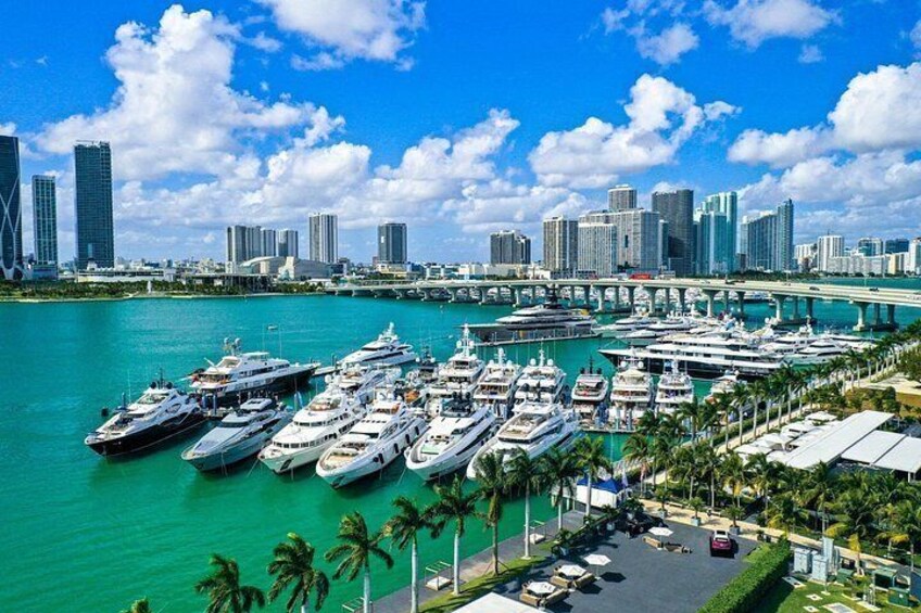 A marina with yachts, a city skyline, and palm trees. 1