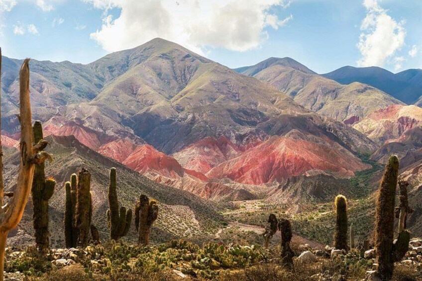 A mountainous landscape with cacti and a clear sky. 5