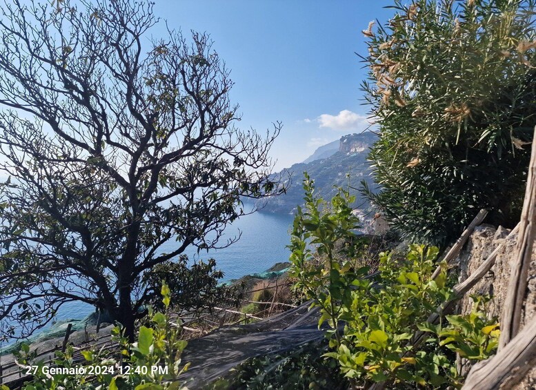 A coastal landscape with a tree, rocky terrain, and a view of the sea. 2