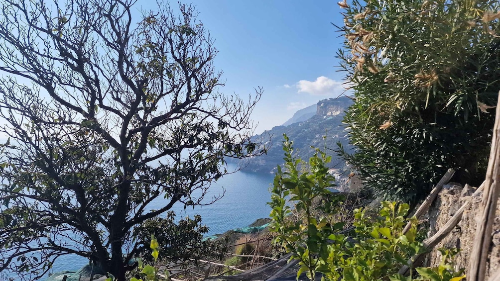 Picture 3 for Activity Lemon Path - Amalfi coast 2