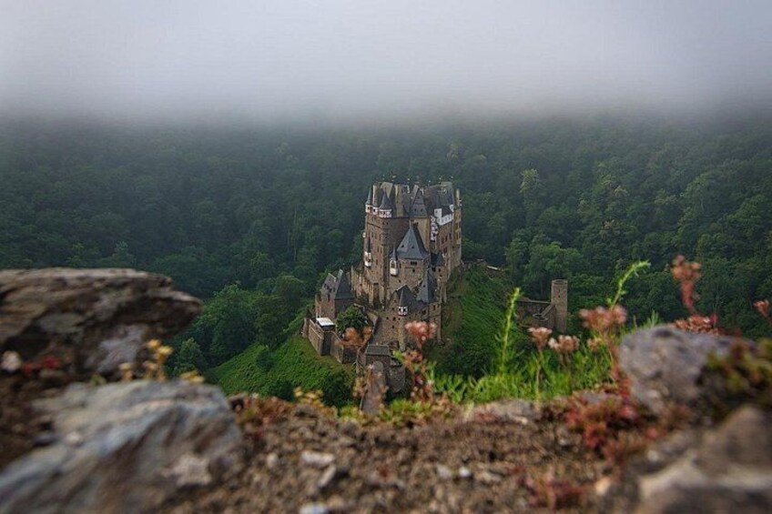 A castle on a hill surrounded by forest. 2