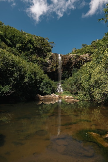 Picture 5 for Activity Mauritius: Tamarind Falls Guided Hike to All 11 Waterfalls 4