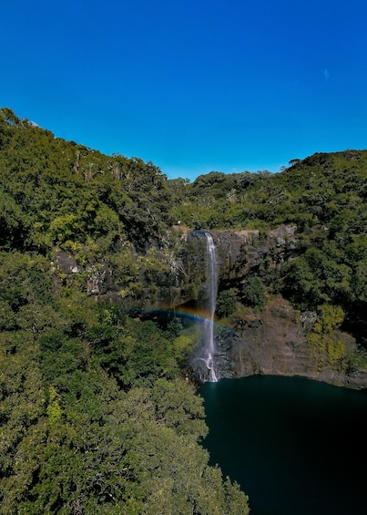 Picture 1 for Activity Mauritius: Tamarind Falls Guided Hike to All 11 Waterfalls 5