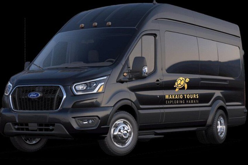 New Luxury 15 passenger vans 2