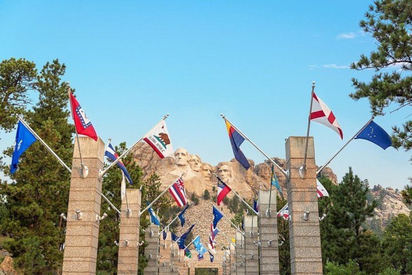 Row of State Flags 2