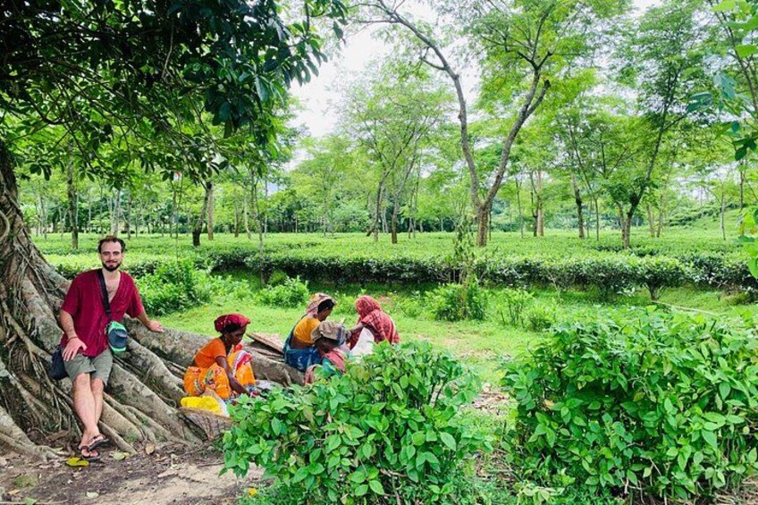 Amidst the lush greenery | Experience the charm of Sylhet’s tea gardens and connect with local life. A perfect blend of nature, culture, and community at Charubala Homestay. 2