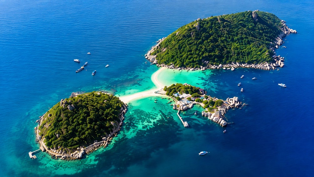 Tropical Bliss: Dive, Snorkel, and Hike in Koh Tao & Koh Nang Yuan 5