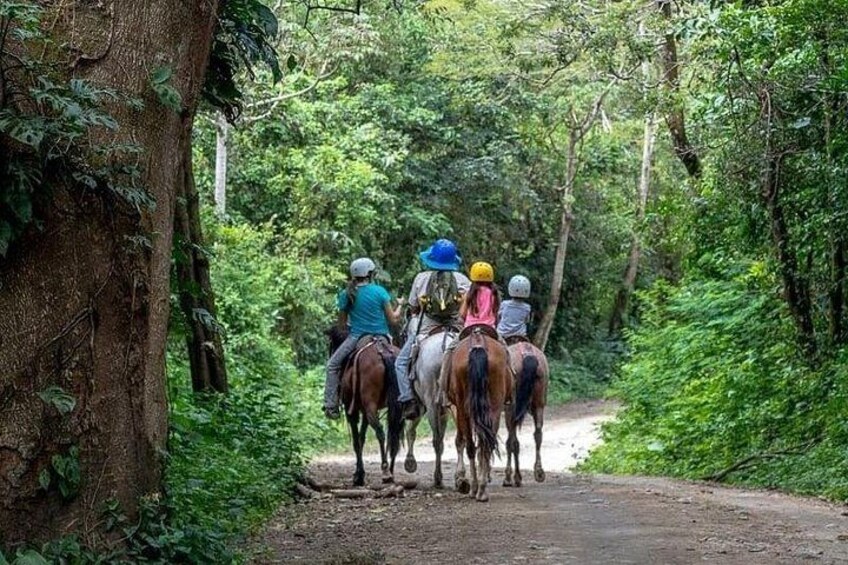 A group of people riding horses on a dirt path surrounded by dense green foliage. 1