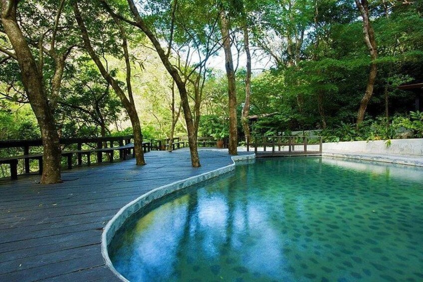A wooden deck with a curved pool surrounded by trees. 3