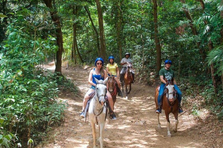 A group of people horseback riding on a dirt trail surrounded by dense forest. 5