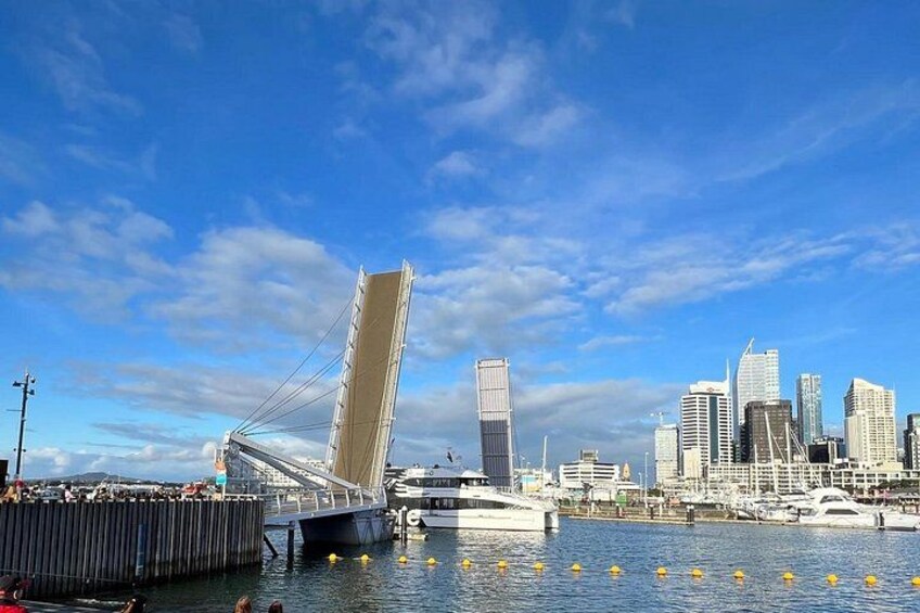 A modern bridge with a sail-like structure, a city skyline with high-rise buildings, and a body of water with yellow buoys. 1