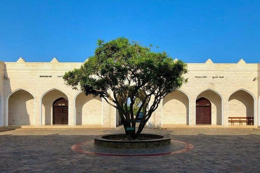 Un patio con un árbol, un edificio con arcos y un cielo azul despejado. 3