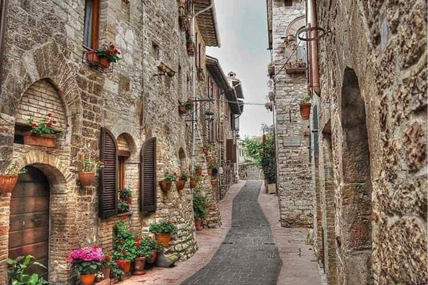 Assisi Cascia private tour, Basilica of St. Francis and St. Rita 2