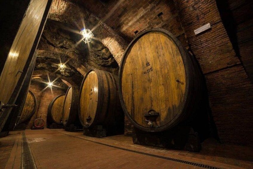 A cellar with wooden barrels, brick walls, and a metal grate on the floor. 5