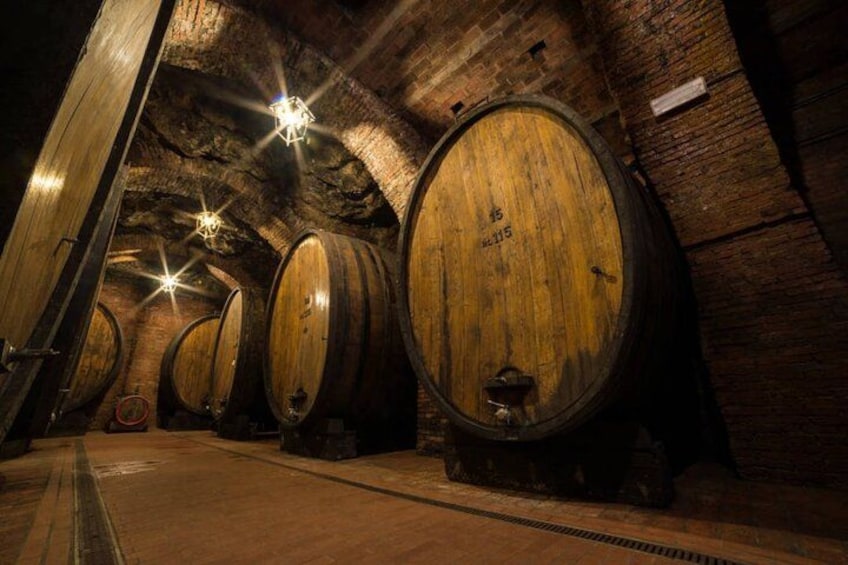 A cellar with wooden barrels, brick walls, and a metal grate on the floor. 5