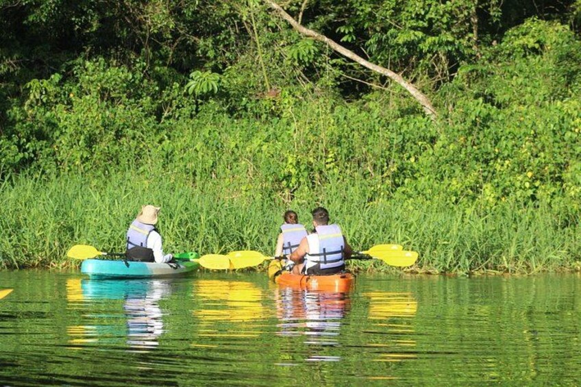 Tortuguero National Park Canals Kayaking Tour 3