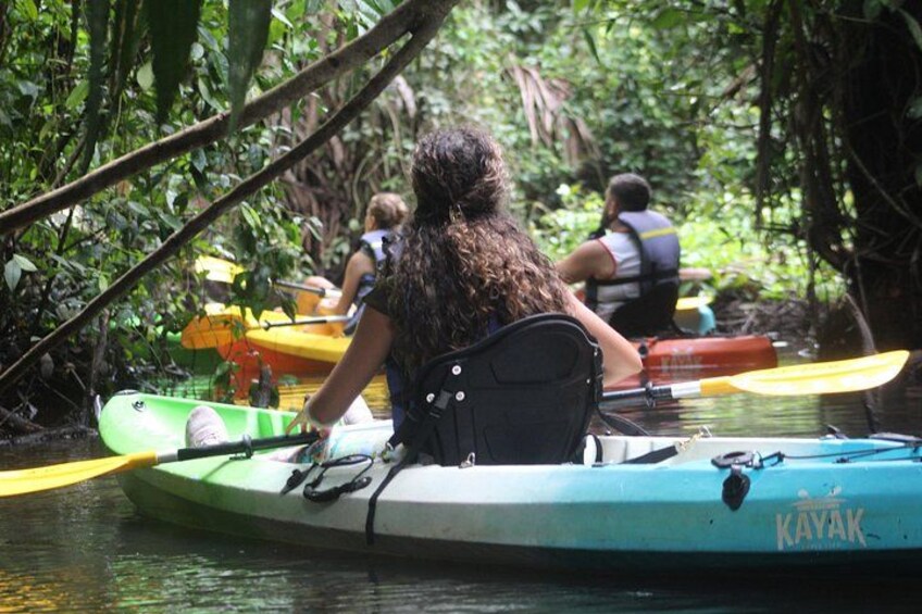 Tortuguero National Park Canals Kayaking Tour 5
