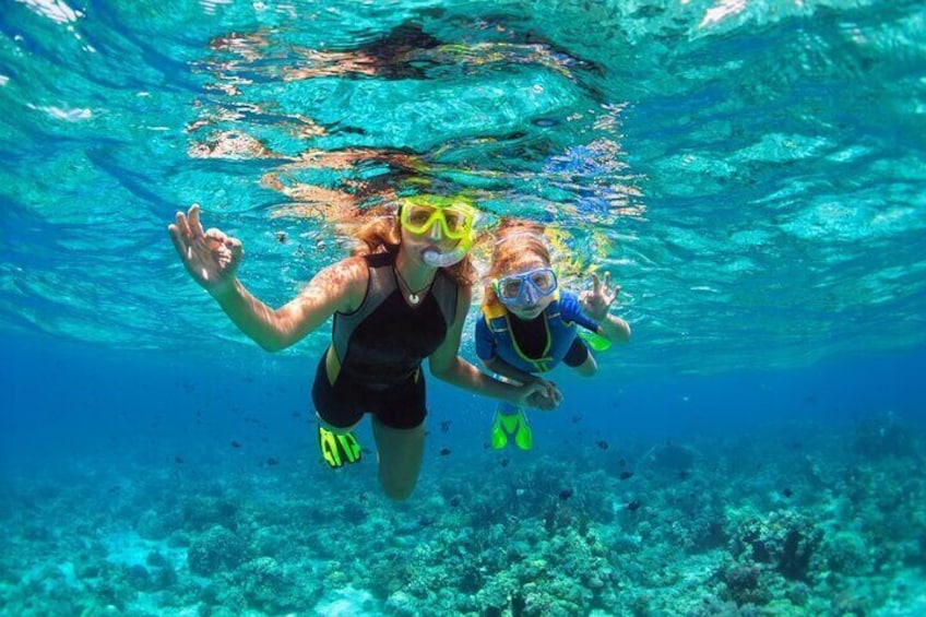 Two people snorkeling underwater with coral reefs in the background. 4
