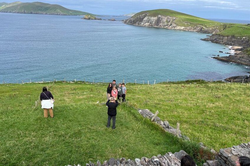 A grassy hillside with a rocky shoreline and a body of water. 1