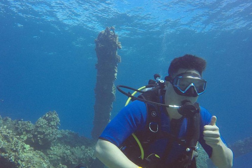 A person underwater with a scuba diving mask and breathing apparatus, surrounded by marine life and coral formations. 4
