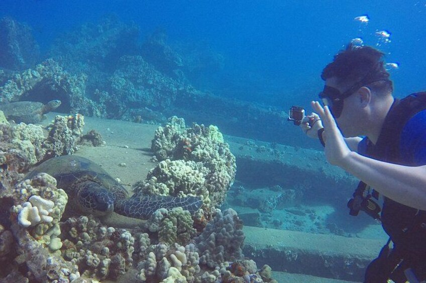 A diver taking a photo underwater near a coral reef. 5