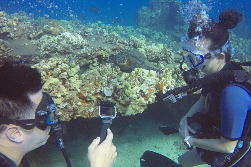 Two scuba divers underwater with a coral reef in the background. 3