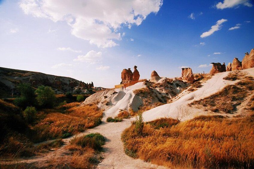 A desert landscape with rock formations, a dirt path, and sparse vegetation. 3