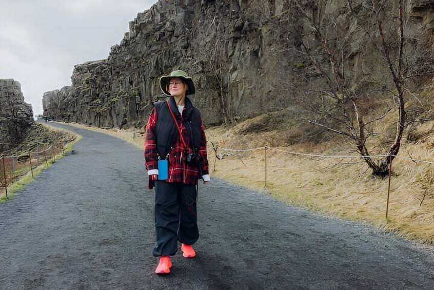 Small Group: Golden Circle Tour from Reykjavik Cruise Terminals 4