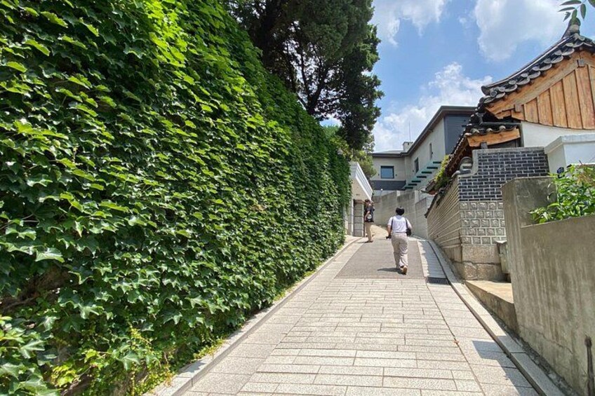 A paved pathway flanked by a dense green hedge and traditional buildings with tiled roofs. 2