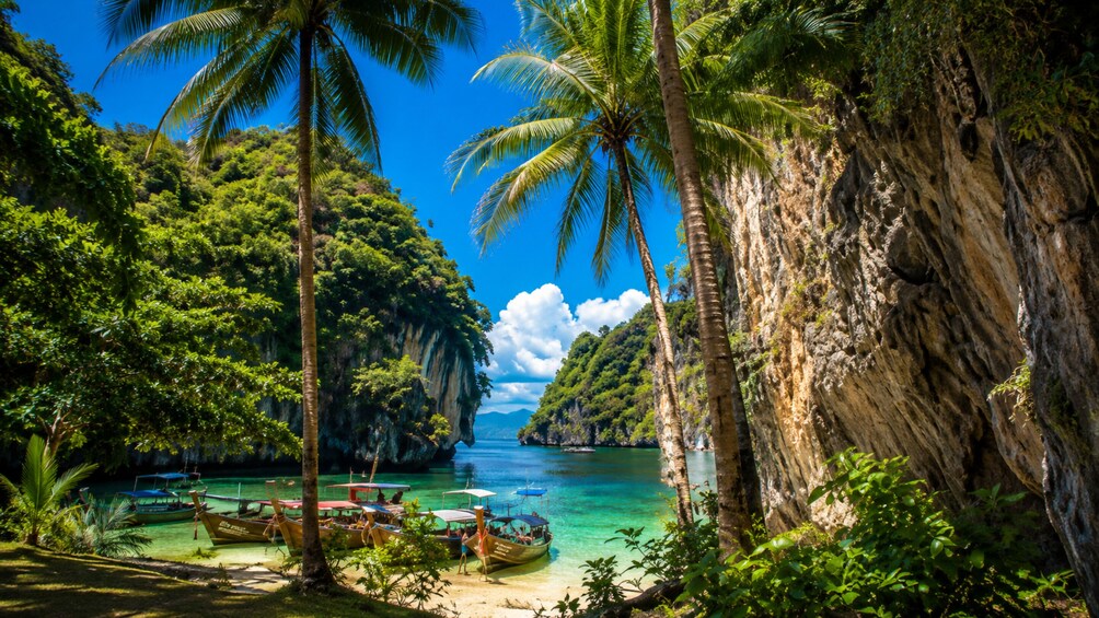 Hong Island by Long Tail Boat: Swim, Snorkel, Relax 3
